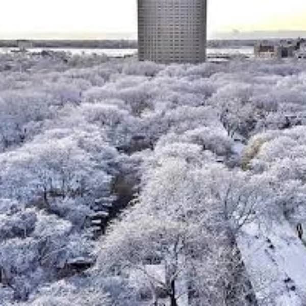 Snow in Detroit in Dec 2025?