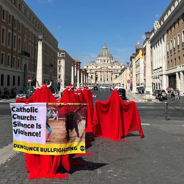 Will Pope Leo XIV issue a statement condemning bullfighting in 2025?