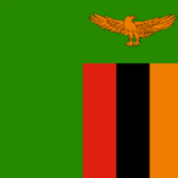 Who will win the next Zambian National Assembly election?